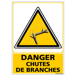 Panneau DANGER CHUTES DE BRANCHES (C1351)
