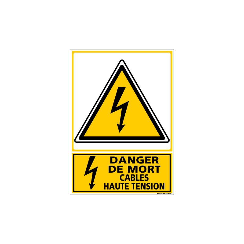 Signalisation danger electrique (C1352)