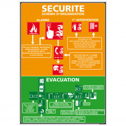 Panneau SECURITE - SCHEMA D'ORGANISATION (A0317)