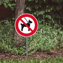 Panneau de signalisation - Chiens sans laisse interdits