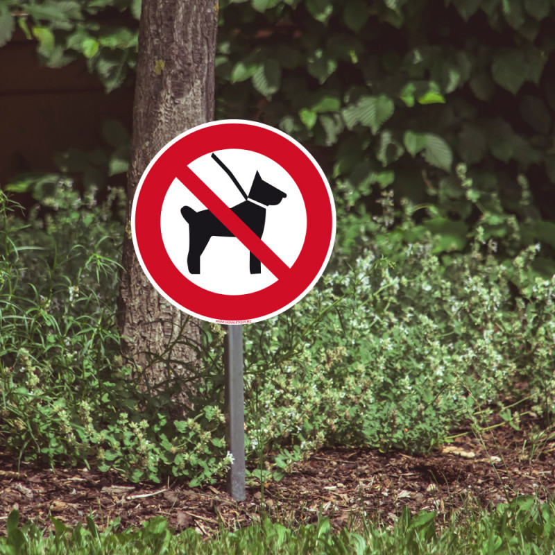 Panneau Interdit au Chien. Disque d