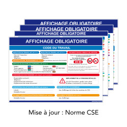 Kit d'affichage obligatoire du travail en entreprise mis à jour aux normes CSE