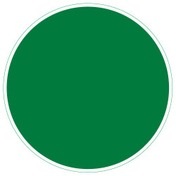 DISQUE, PASTILLE VERTE BAIES D'EVACUATION ACCESSIBLE (A0595)
