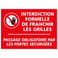 Panneau Interdiction formelle de franchir les grilles (D0982)