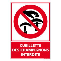 PANNEAU CUEILLETTE DES CHAMPIGNONS INTERDITE (D1074)