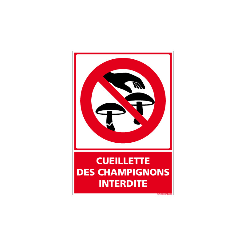 PANNEAU CUEILLETTE DES CHAMPIGNONS INTERDITE (D1074)