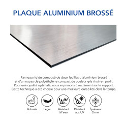 plaque aluminium brossé rampe d'accès
