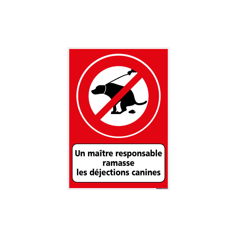 PANNEAU UN MAŒTRE RESPONSABLE RAMASSE LES DEJECTIONS CANINES (D1131)