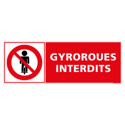 PANNEAU INTERDIT AUX GYROROUES (D1261)