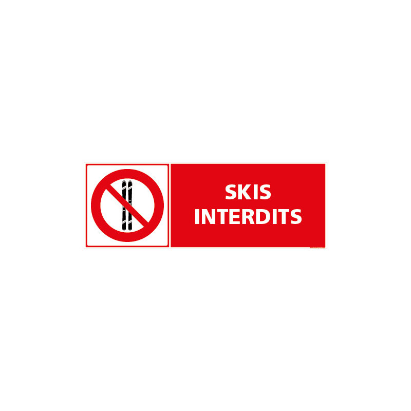 PANNEAU INTERDIT AUX SKIS (D1311)