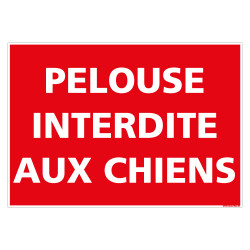 Panonceau avec piquet Chiens interdits