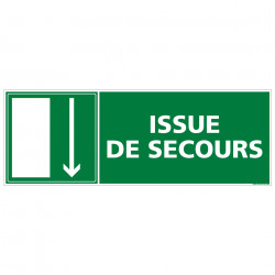 PANNEAU SORTIE ISSUE DE SECOURS (BAS) (B0138)
