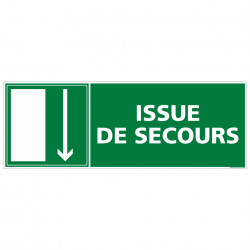 PANNEAU SORTIE ISSUE DE SECOURS (BAS) (B0138)