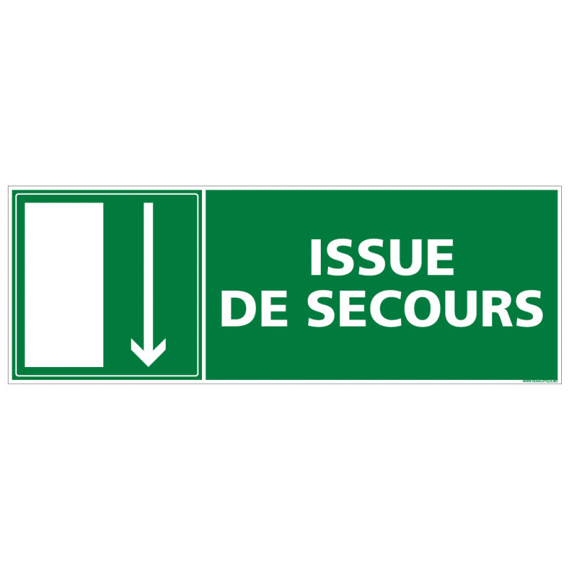 PANNEAU SORTIE ISSUE DE SECOURS (BAS) (B0138)