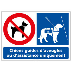 Panneau Chiens interdits sauf Chiens guides d'aveugles (L0952)