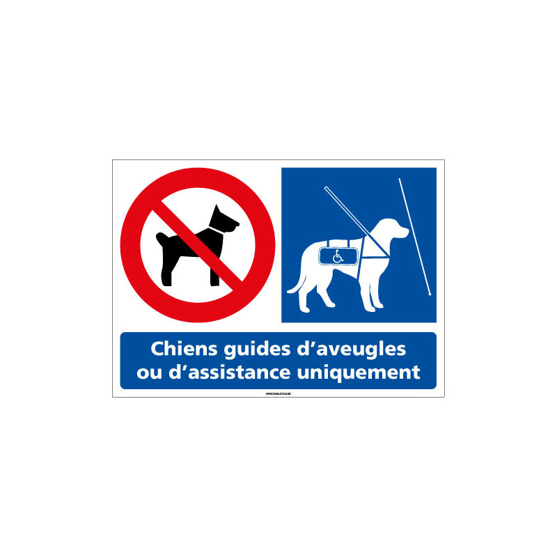 Panneau Chiens interdits sauf Chiens guides d'aveugles (L0952)