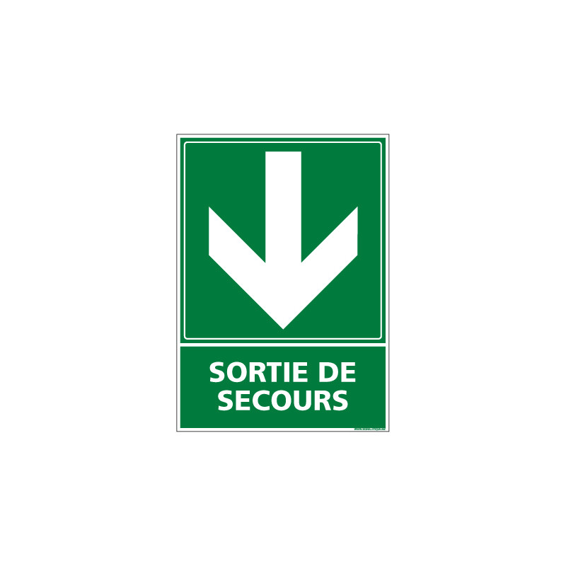 Panneau evacuation/secours SORTIE DE SECOURS (B0241)