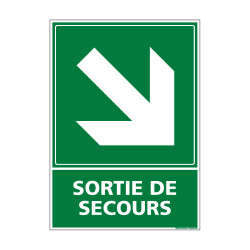 PANNEAU EVACUTION/SORTIE DE SECOURS (BAS DROITE) (B0242)