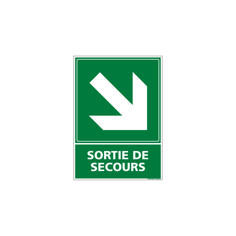 PANNEAU EVACUTION/SORTIE DE SECOURS (BAS DROITE) (B0242)