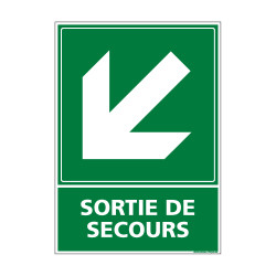 PANNEAU EVACUATION/SORTIE DE SECOURS (BAS GAUCHE) (B0243)