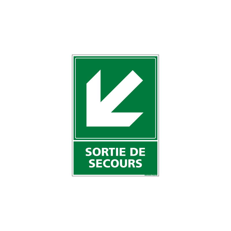 PANNEAU EVACUATION/SORTIE DE SECOURS (BAS GAUCHE) (B0243)