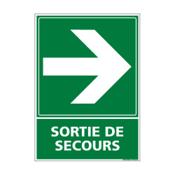 PANNEAU EVACUATION/SORTIE DE SECOURS (DROITE) (B0244)