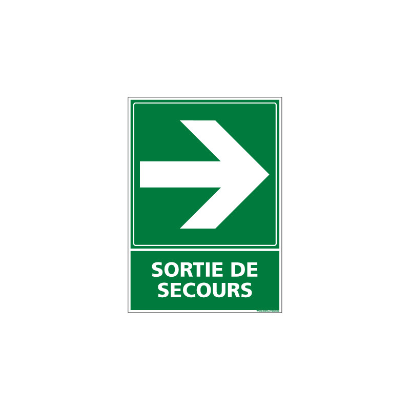 PANNEAU EVACUATION/SORTIE DE SECOURS (DROITE) (B0244)