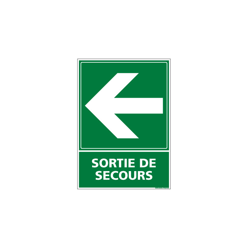 PANNEAU EVACUATION/SORTIE DE SECOURS (GAUCHE) (B0245)