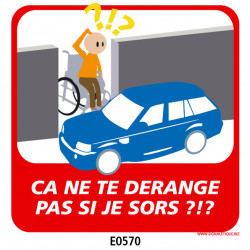 Panneau PERSONNES MOBILITE REDUITE (E0569 et E0570)