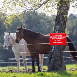 Signalisation interdiction de nourrir les chevaux