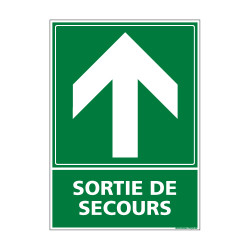 PANNEAU EVACUATION/SORTIE DE SECOURS (HAUT) (B0246)