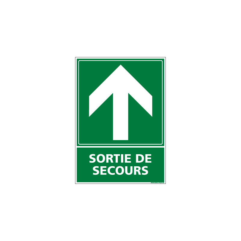 PANNEAU EVACUATION/SORTIE DE SECOURS (HAUT) (B0246)