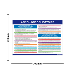 Affichage obligatoire égalité professionnelles femmes-hommes dimensions