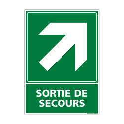 PANNEAU EVACUATION/SORTIE DE SECOURS (HAUT DROITE) (B0247)