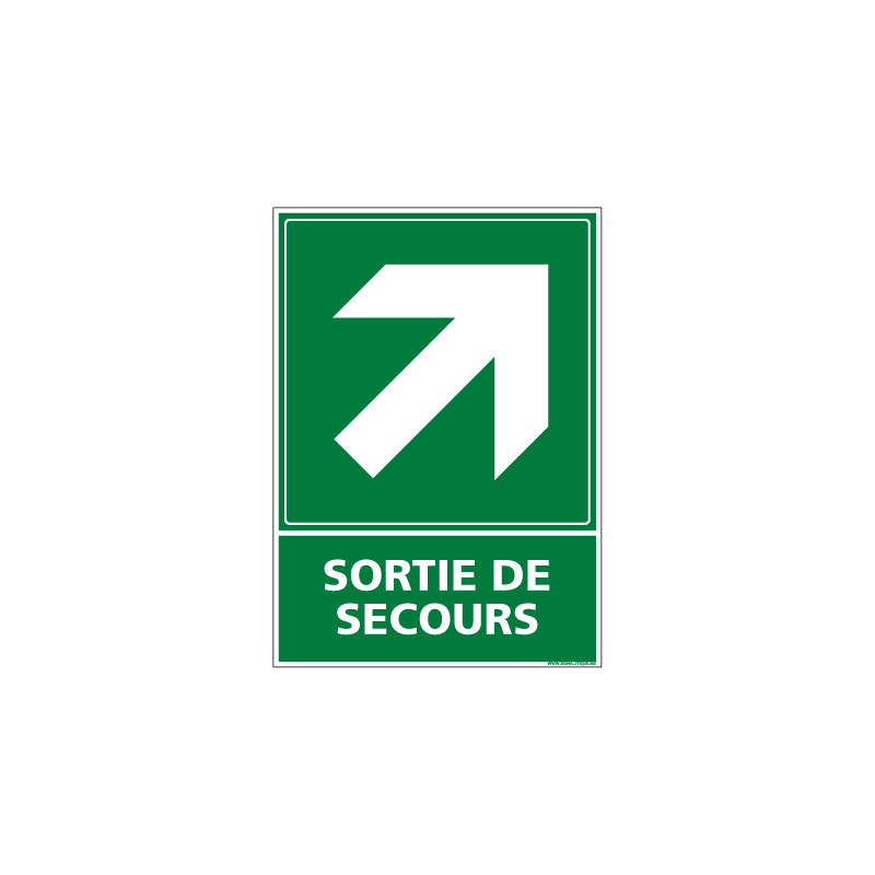 PANNEAU EVACUATION/SORTIE DE SECOURS (HAUT DROITE) (B0247)