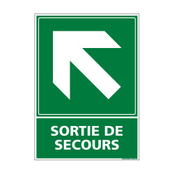 PANNEAU EVACUATION/SORTIE DE SECOURS (HAUT GAUCHE) (B0248)