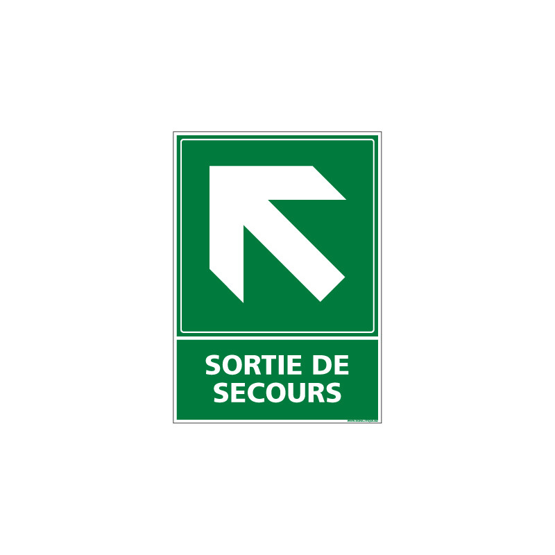 PANNEAU EVACUATION/SORTIE DE SECOURS (HAUT GAUCHE) (B0248)