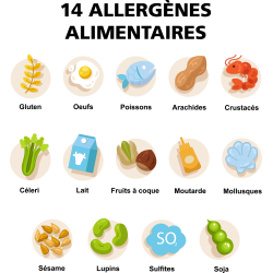 14 Allerg nes D claration Obligatoire SQMKS 14 Allerg nes D claration Obligatoire SQMKS