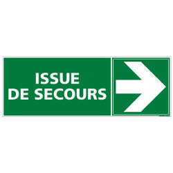 PANNEAU ISSUE DE SECOURS A DROITE (B0271)