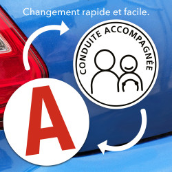 Magnétique jeune conducteur amovible