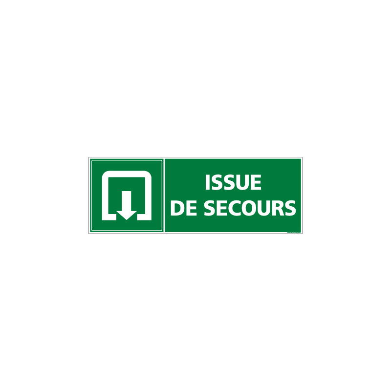 Panneauevacuation/secours Issue de secours (B0342)