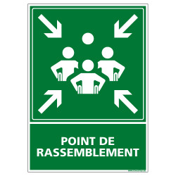 PANNEAU POINT DE RASSEMBLEMENT HANDICAPE (B0426)