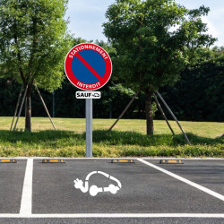 Mise en ambiance kit panneau pochoir Stationnement interdit sauf voiture électrique