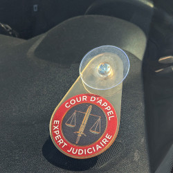 Plaque pare brise expert judiciaire cour d'appel