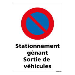 PANNEAU STATIONNEMENT G NANT SORTIE DE VEHICULE (L0726)