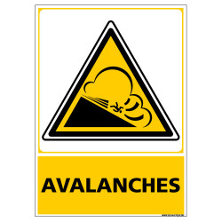 PANNEAU DANGER AVALANCHES (C1443)