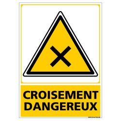 PANNEAU CROISEMENT DANGEREUX (C1449)