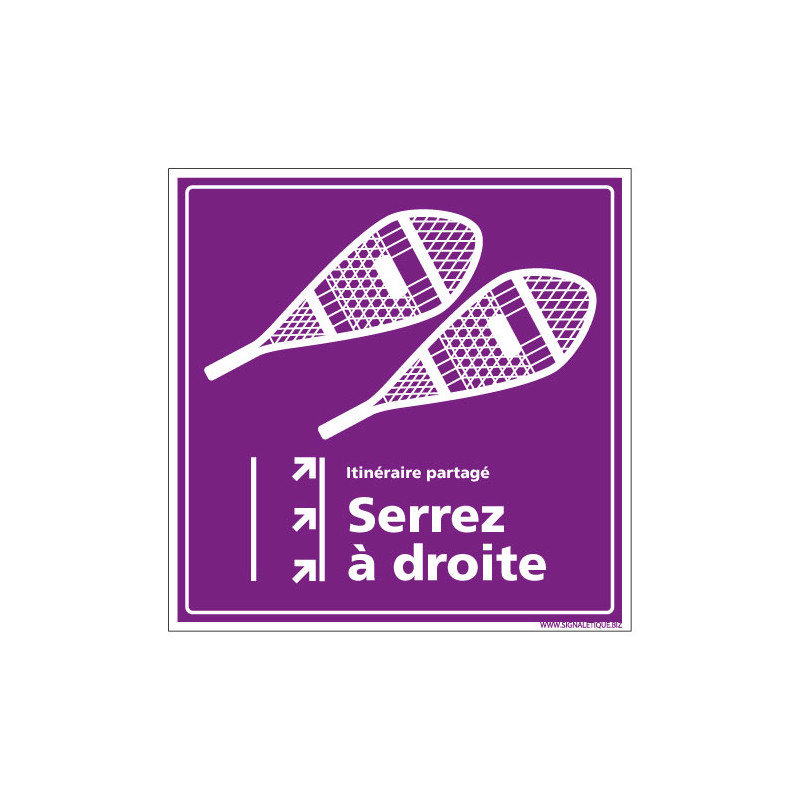 PANNEAU RAQUETTES SERREZ A DROITE (H0284)