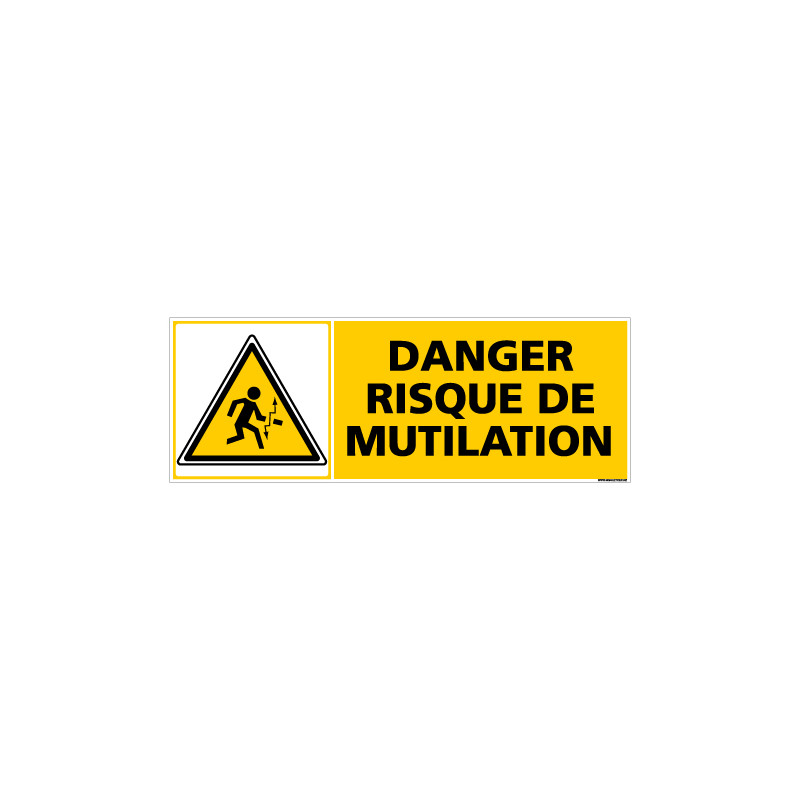 Panneau DANGER RISQUE DE MUTILATION (C0379)