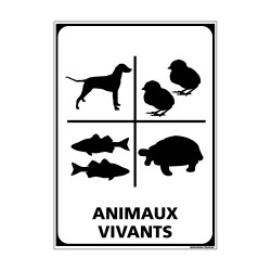 Adhésif de Signalisation CONDITIONNEMENT : ANIMAUX VIVANTS (M0311)